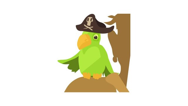 Pirate parrot icon animation best cartoon object on white background