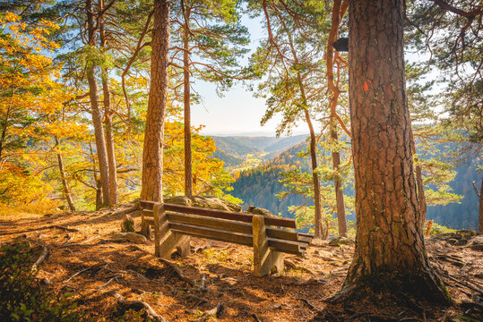 Albtalblick