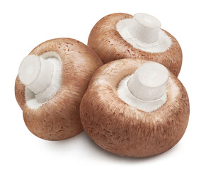 Delicious mushrooms, isolated on white background