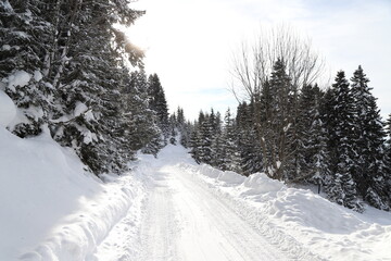 Fototapeta na wymiar country roads covered with snow in winter.turkey