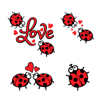 Couple of ladybugs in love with a look romantic for love