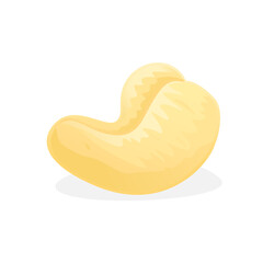 Vector illustration of cashew nut isolated on white background.
