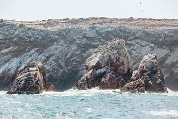The Ballestas Islands - group of small islands near the town of Paracas in Peru