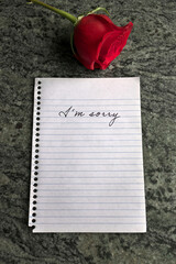 A Sorry Note with a Single Red Rose Beside it