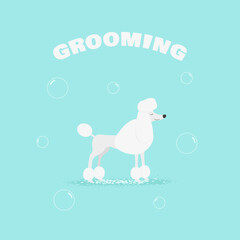 Pet grooming. Vector illustration.