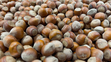Fresh hazelnuts in the store counter. Organic hazelnuts.