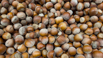 Fresh hazelnuts in the store counter. Organic hazelnuts.