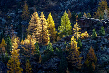 Ferner Gries, Landschaft im Kaunertal, Österreich