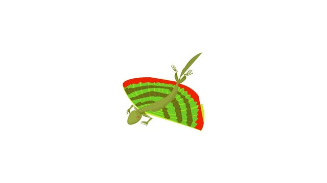 Lizard icon animation best cartoon object on white background
