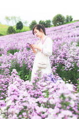 Margaret flower field and woman using phone,Traveler asian woman with mobile phone travel in flower...