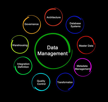 Nine components of Data Management.