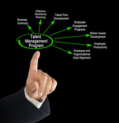 Components of  Talent Management Program