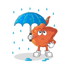 chicken wing holding an umbrella illustration. character vector