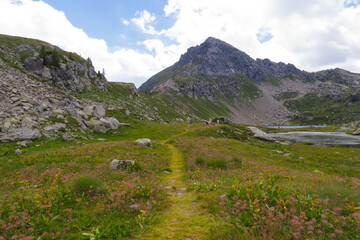 Sentiero in montagna