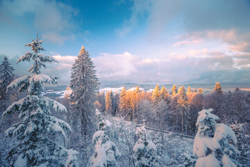 Winterliche Abenddämmerung am Hornbergbecken