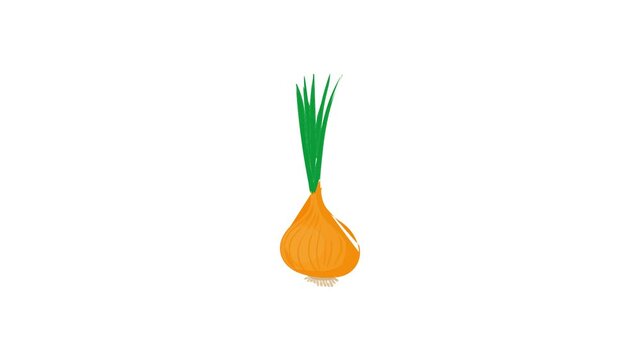 Onion with fresh green sprout icon animation best cartoon object on white background