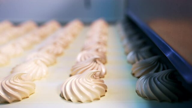 Yummy creamy desserts come out from the machine at confectionery. Freshly-laid zephyr sweets on the conveyor line. Close up. Blurred background.