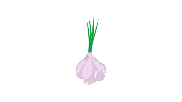 Garlic with fresh green sprout icon animation best cartoon object on white background