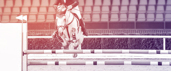 Horse and rider in uniform, duo tone. Beautiful white horse portrait during Equestrian sport show jumping competition. Horizontal monochrome web header or banner design, copy space.