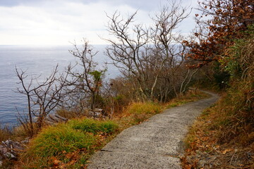 日本 長崎県 対馬 豆酘埼