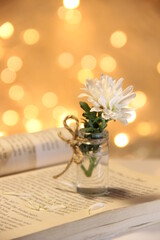 bouquet of flowers on the book