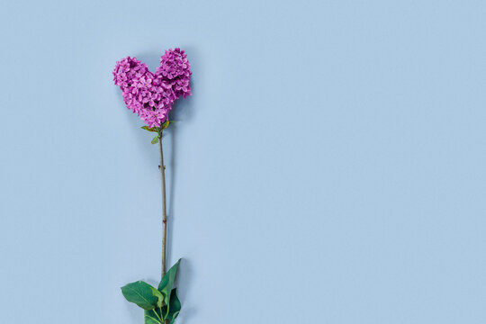 Valentine's Day card with bouquet of lilacs on paper background. Symbolic heart.