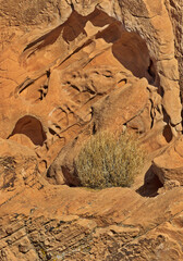 Aztec sandstone details etched by time and weather in Valley of Fire State Park in Nevada 