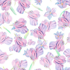 Watercolor seamless pattern. Floral pattern. Botanical Design with flowers, sweet pea, branches and plants. Pink Flowers. Idea for backgrounds, wallpaper, gifts, home decor, bedding, fabric, girls