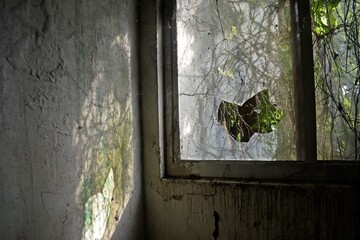 old abandoned window 