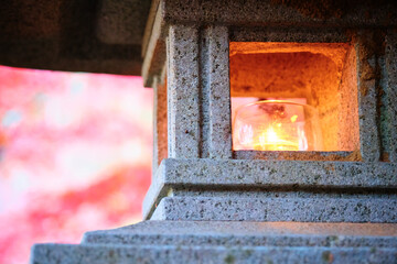 Stone Lanterns in Autumn