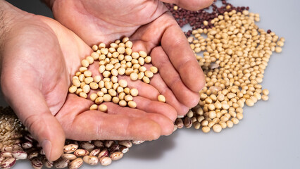 vegan food: mani with soy and borlotti beans and azuki on the neutral background