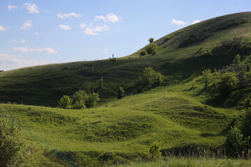 Fototapeta premium landscape hills grass with sky