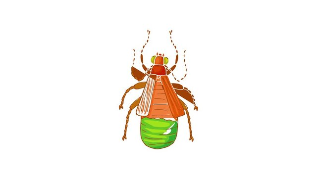 Insect bug icon animation best cartoon object on white background