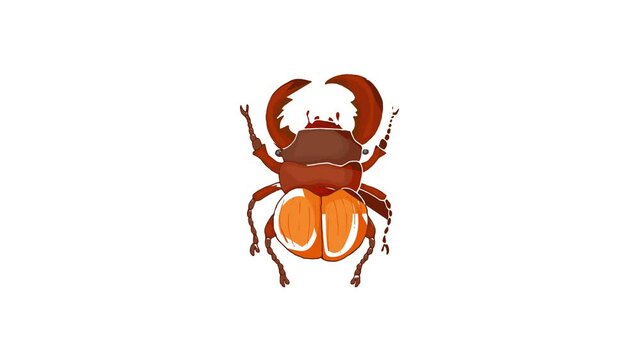 Insect bug icon animation best cartoon object on white background