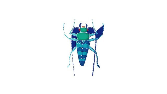 Insect bug icon animation best cartoon object on white background