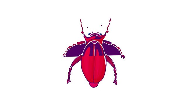 Insect bug icon animation best cartoon object on white background