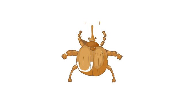 Insect bug icon animation best cartoon object on white background