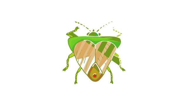 Insect bug icon animation best cartoon object on white background