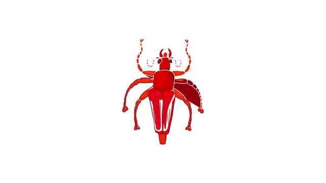 Insect bug icon animation best cartoon object on white background