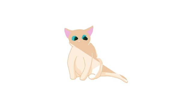 Cat icon animation best cartoon object on white background