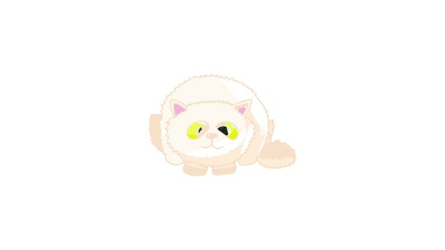 Cat icon animation best cartoon object on white background