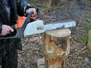 rural worker sawing a log in a village yard with a chainsaw, working with solid wood in the countryside, a petrol saw in the hands of a ptonist sawing off part of a freshly planed stump - obrazy, fototapety, plakaty