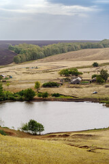 Fototapeta na wymiar Rural summer landscape with a village near a pond, a cemetery and fields. Russia, Orenburg region, farm Arapovka