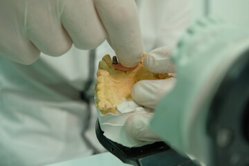 Dental technician works by brush with jaw model