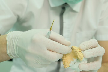 Dental technician works by brush with jaw model