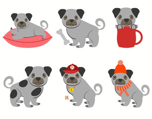 Pug dog set. Dogs in different poses