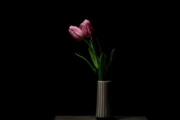 Beautiful pink tulip in ceramic vase on black background - Powered by Adobe