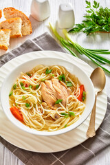 chicken noodle soup with carrots and scallion