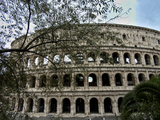 Naklejka premium Colosseum in Rome behind leafless trees