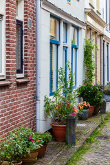 Fototapeta na wymiar Urban greening with lots of plants and flowers in street in Alkmaar in North-Holland in The Netehrlands